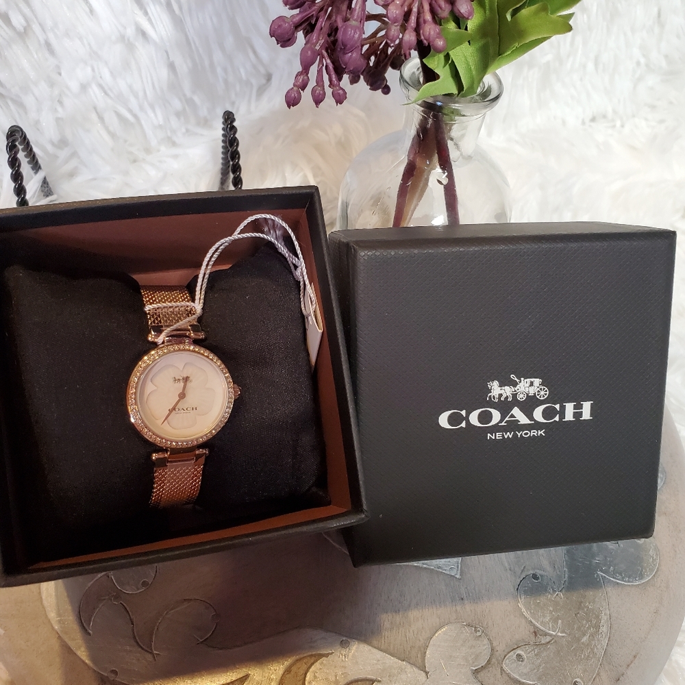 Coach Park Watch